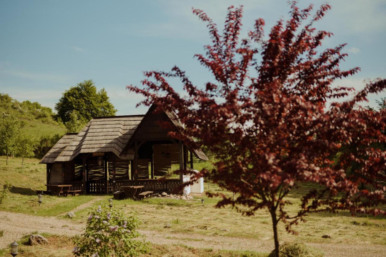 Raven'S Nest - The Hidden Village, Transylvania - Romania Sub Piatra المظهر الخارجي الصورة