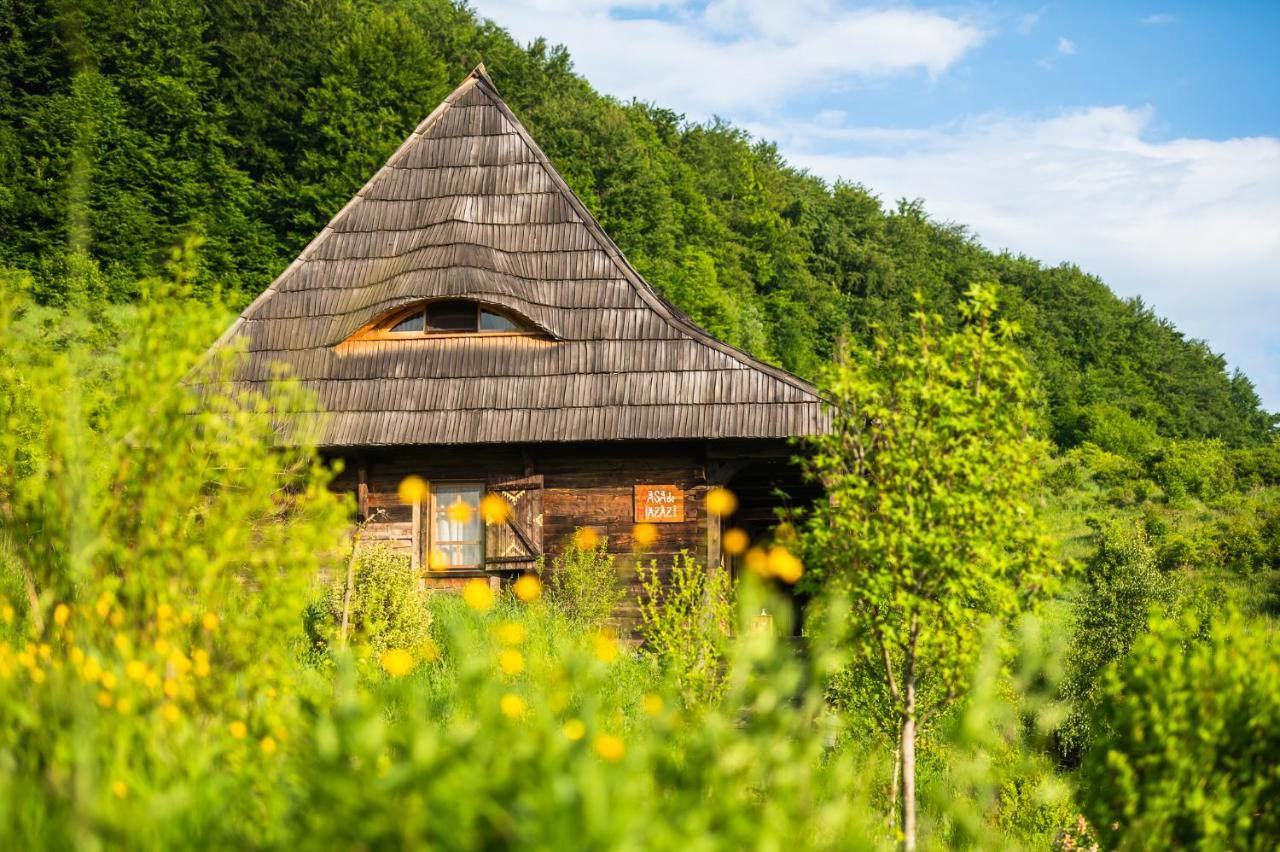 Raven'S Nest - The Hidden Village, Transylvania - Romania Sub Piatra المظهر الخارجي الصورة