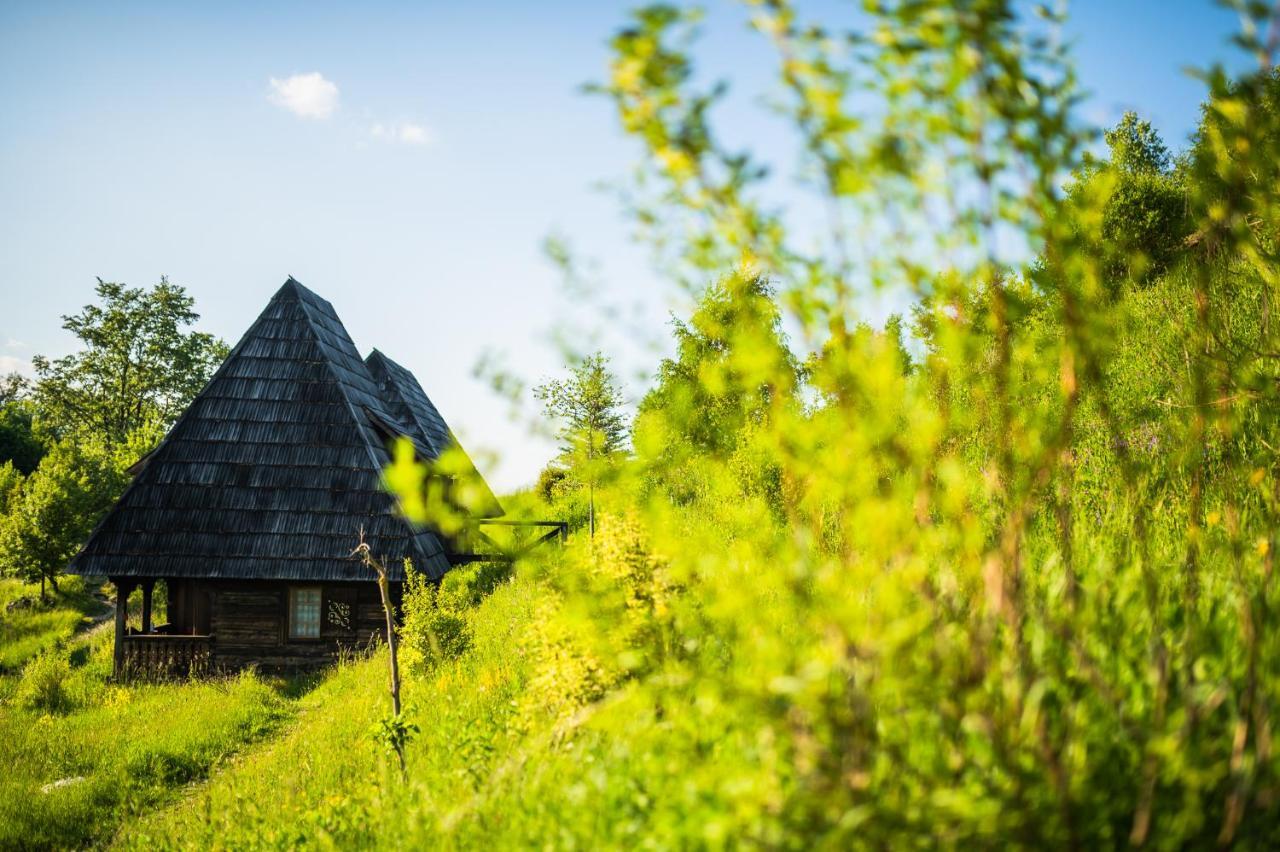 Raven'S Nest - The Hidden Village, Transylvania - Romania Sub Piatra المظهر الخارجي الصورة